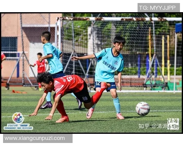 足球锦州：探索这座城市的足球文化与未来发展之路